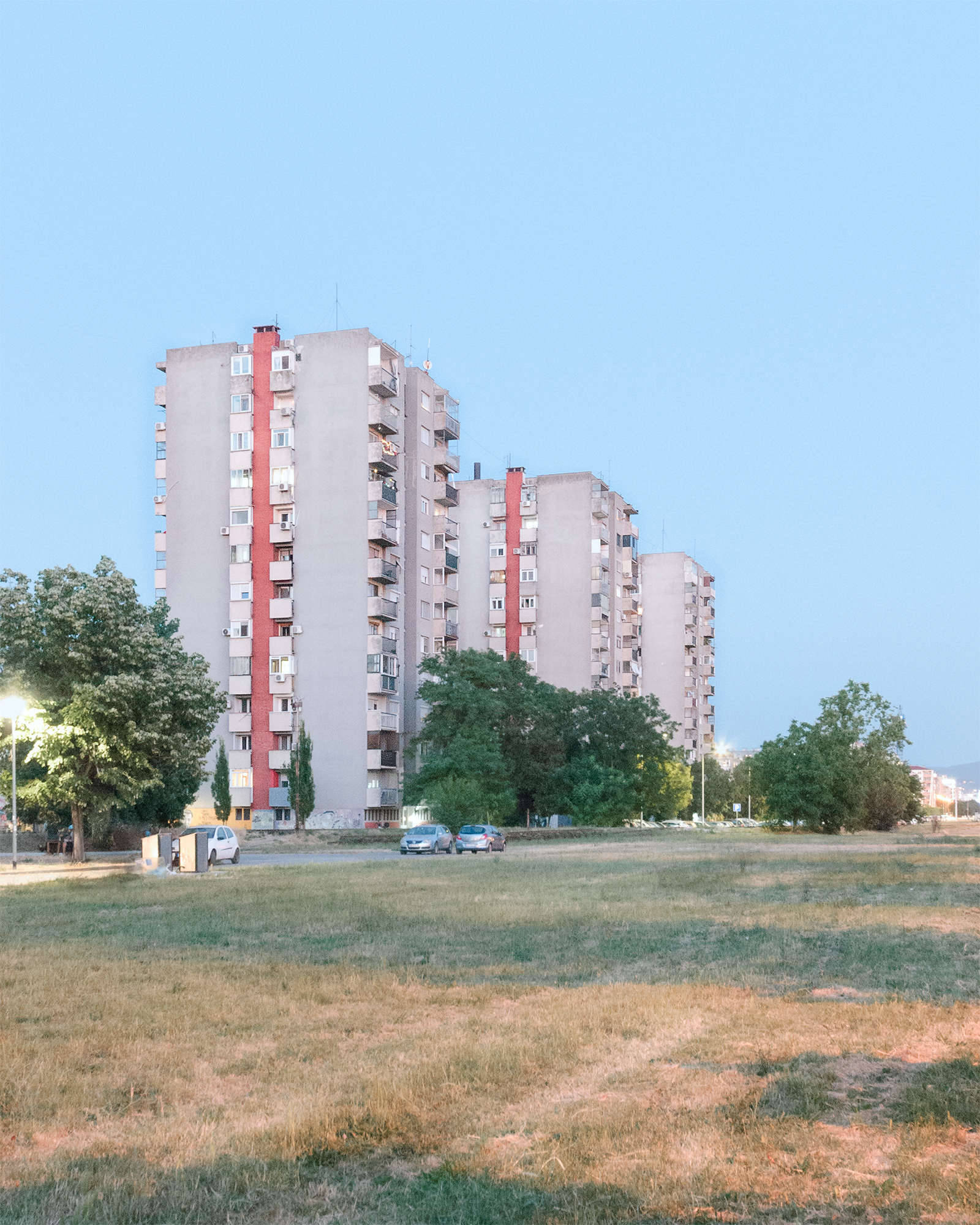 06_Detelinara
